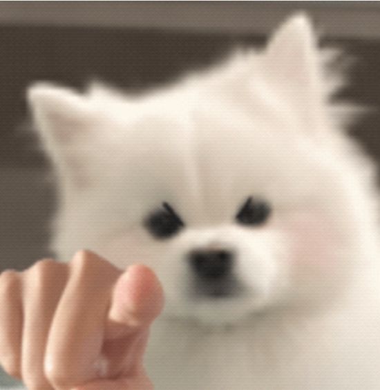 千年维护截图