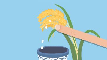 再玩亿关 第605关