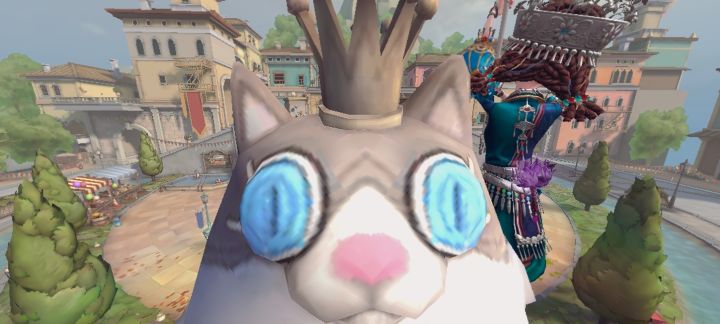 公共地图的胖……?猫截图