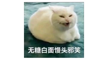 奇奇怪怪的问题总结以及答复