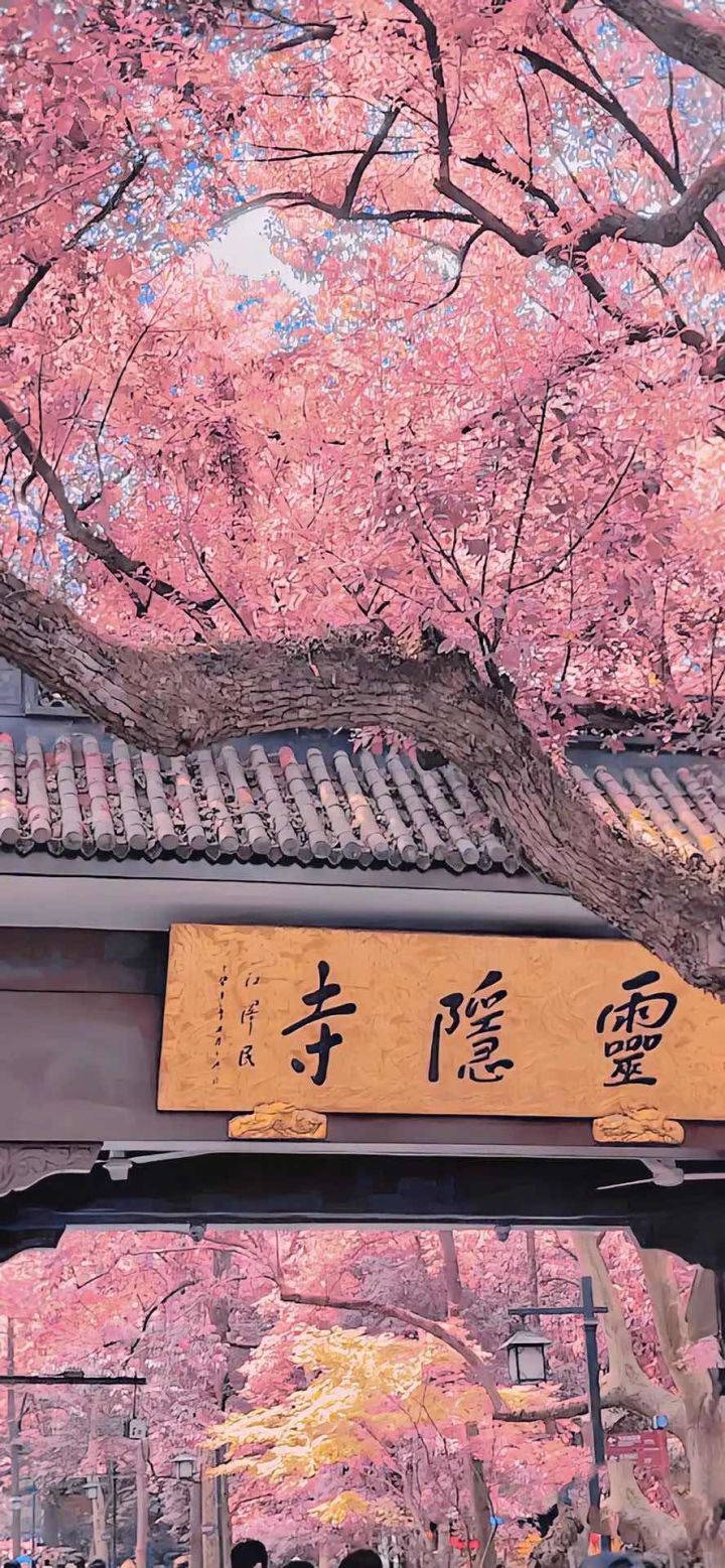 大佬们手册7月几号结束截图