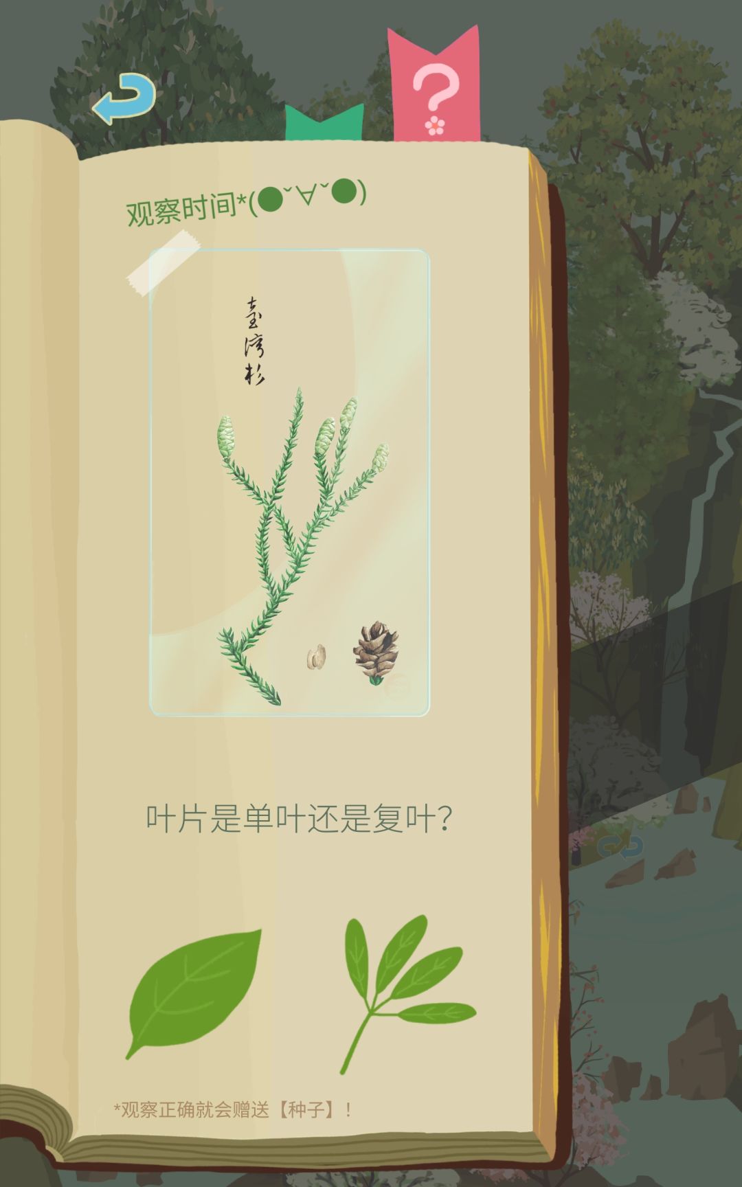 哇啊啊啊辛运日 2