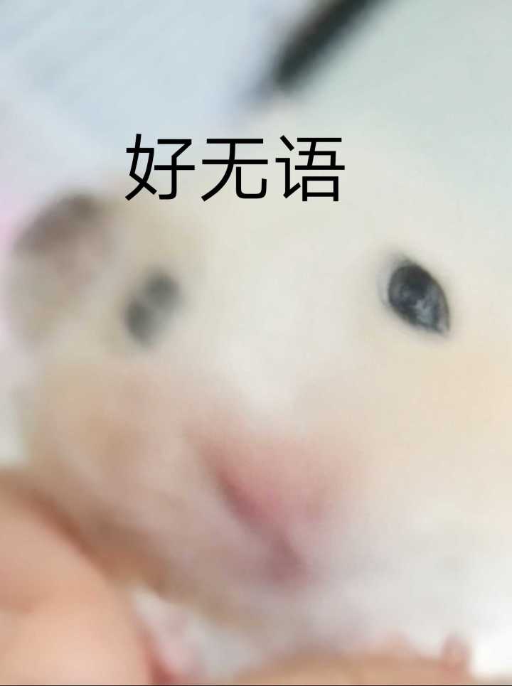 突然想起来之前网上谈的一个对象 就是一整个爱开h腔 真的很恶心啊 能不能正常一点 不要像个只知道发q的禽兽一样 显得你很烂（已分）截图