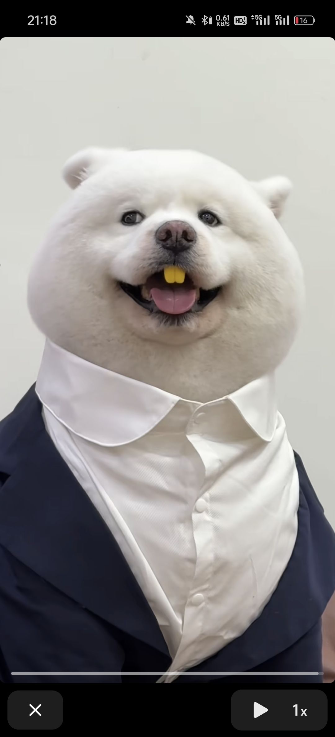 宝藏游戏又又又送皮肤啦 1