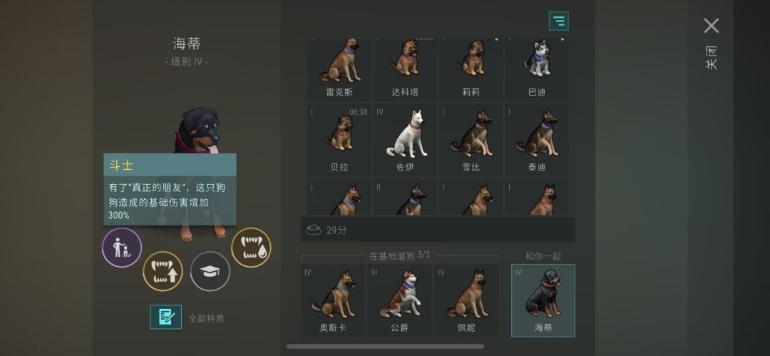过年啦 最高dps的狗(已附上如何毕业) 1