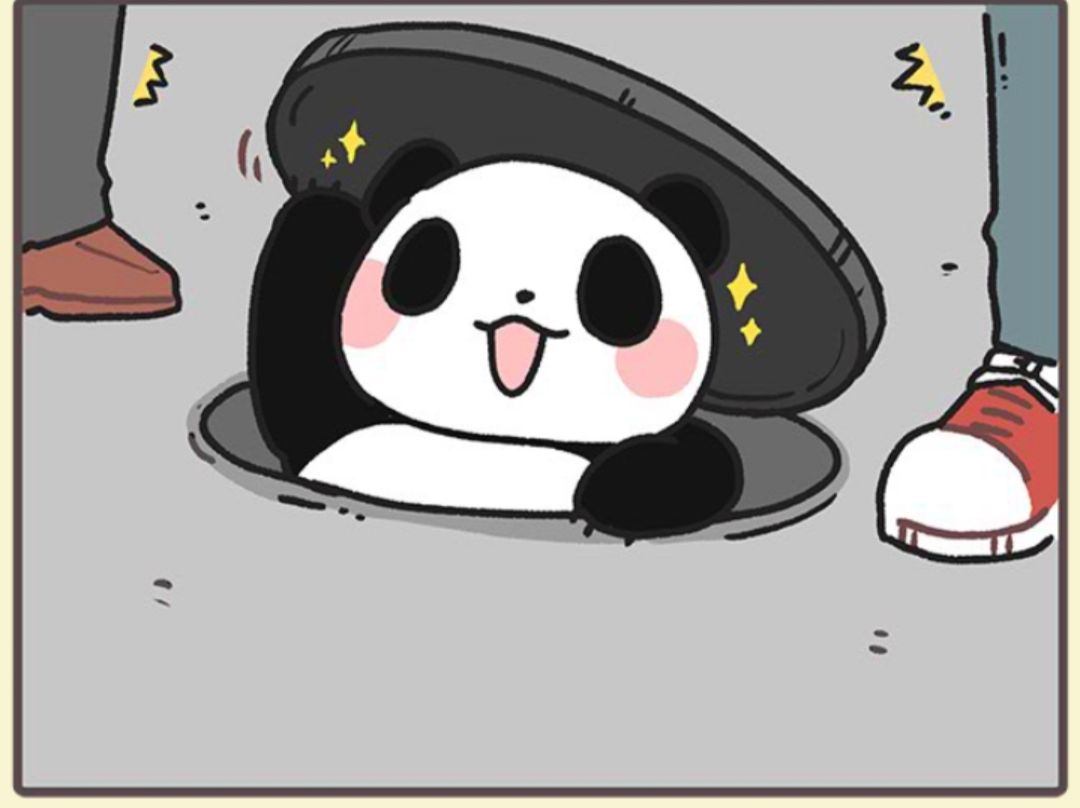 动态图片 8