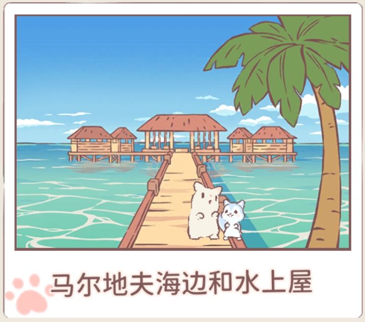 猫咪和汤截图