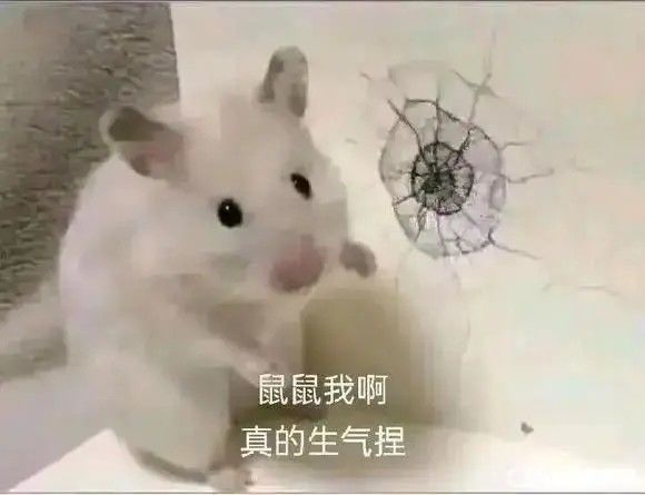 这游戏神了截图