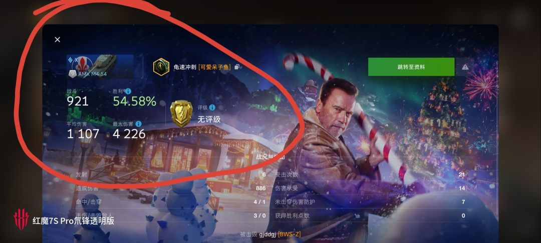 动态图片 10
