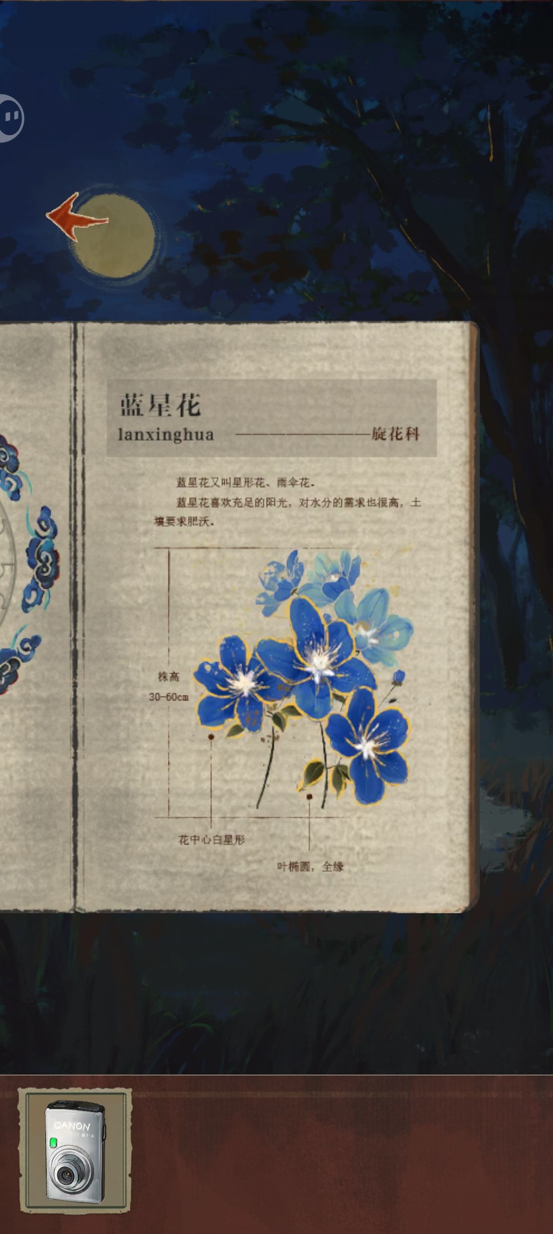 小言言可爱 1