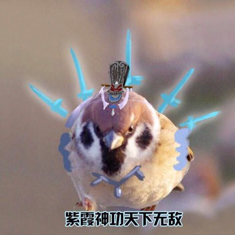 让一让，紫霞神功招生！！来玩我无敌的紫霞神功！截图
