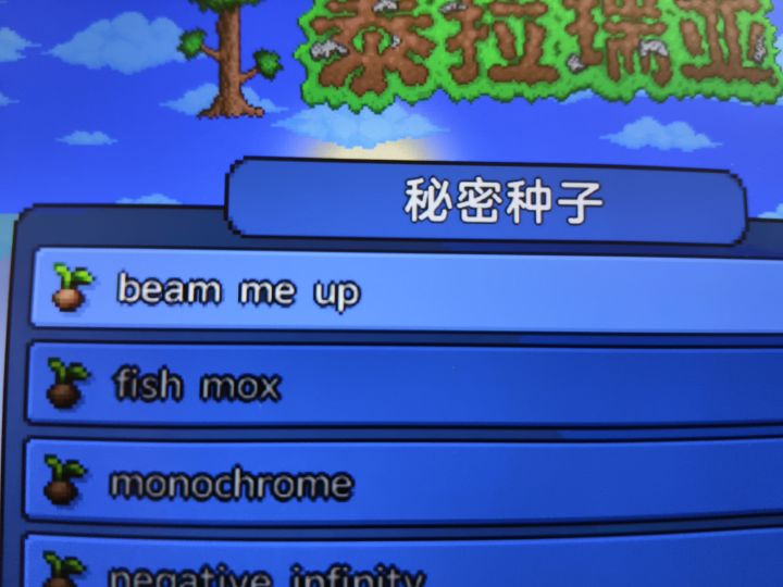这个种子是啥?我咋看不懂截图
