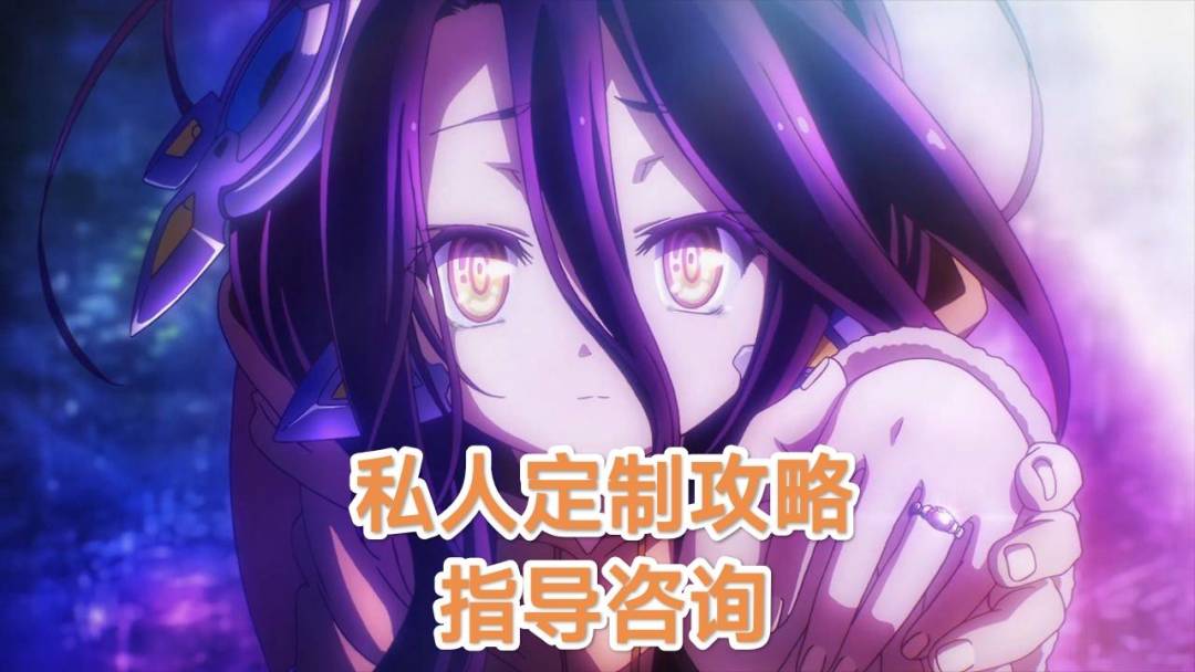 【私人定制攻略】指导咨询截图