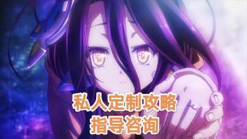 【私人定制攻略】指导咨询