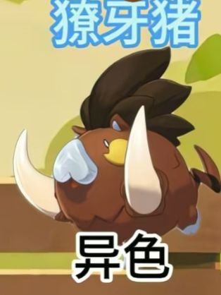洛克王国这几种精灵错过了就再也得不到了 3