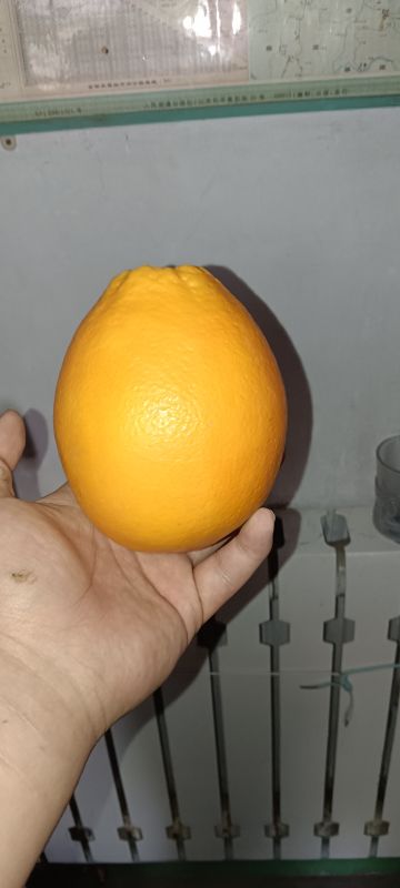 希望福利再有点诚意！