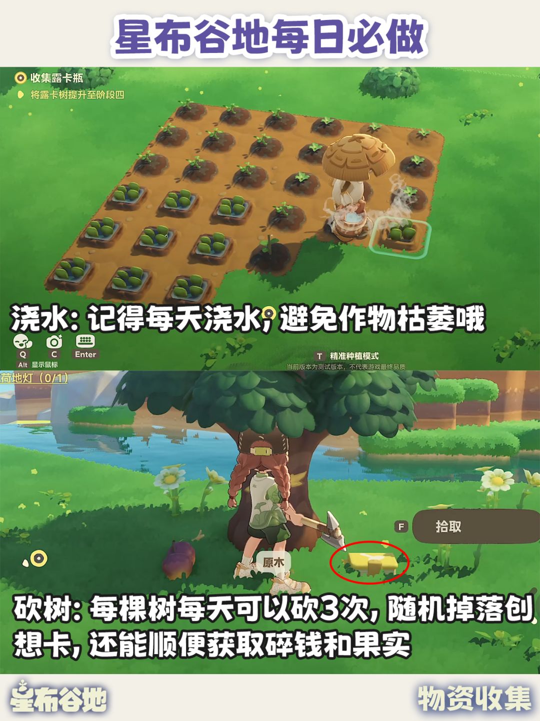 星布谷地每日必做|每天清完 奖励不漏拿! 8