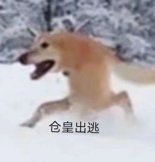 此贴发起后永久停氪 1