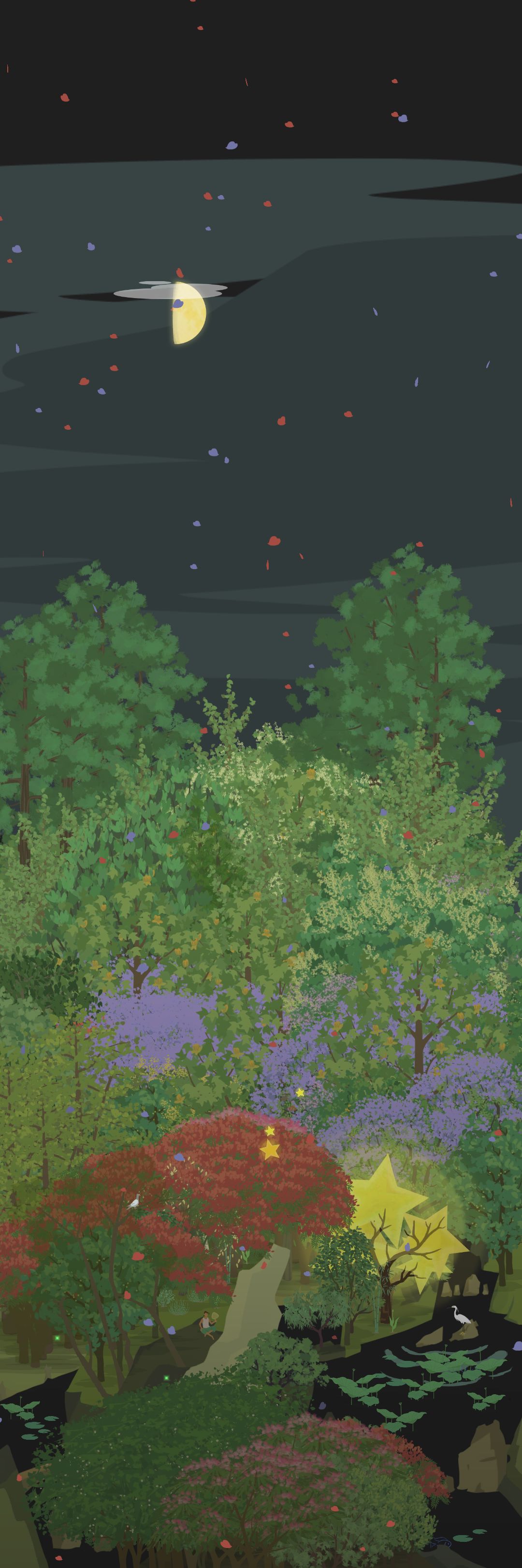 花瓣雨 1