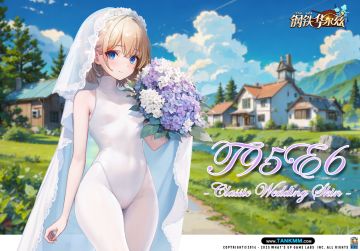 T95E6婚纱皮肤 与 新旅行者菲