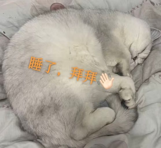 喵喵喵喵喵 2