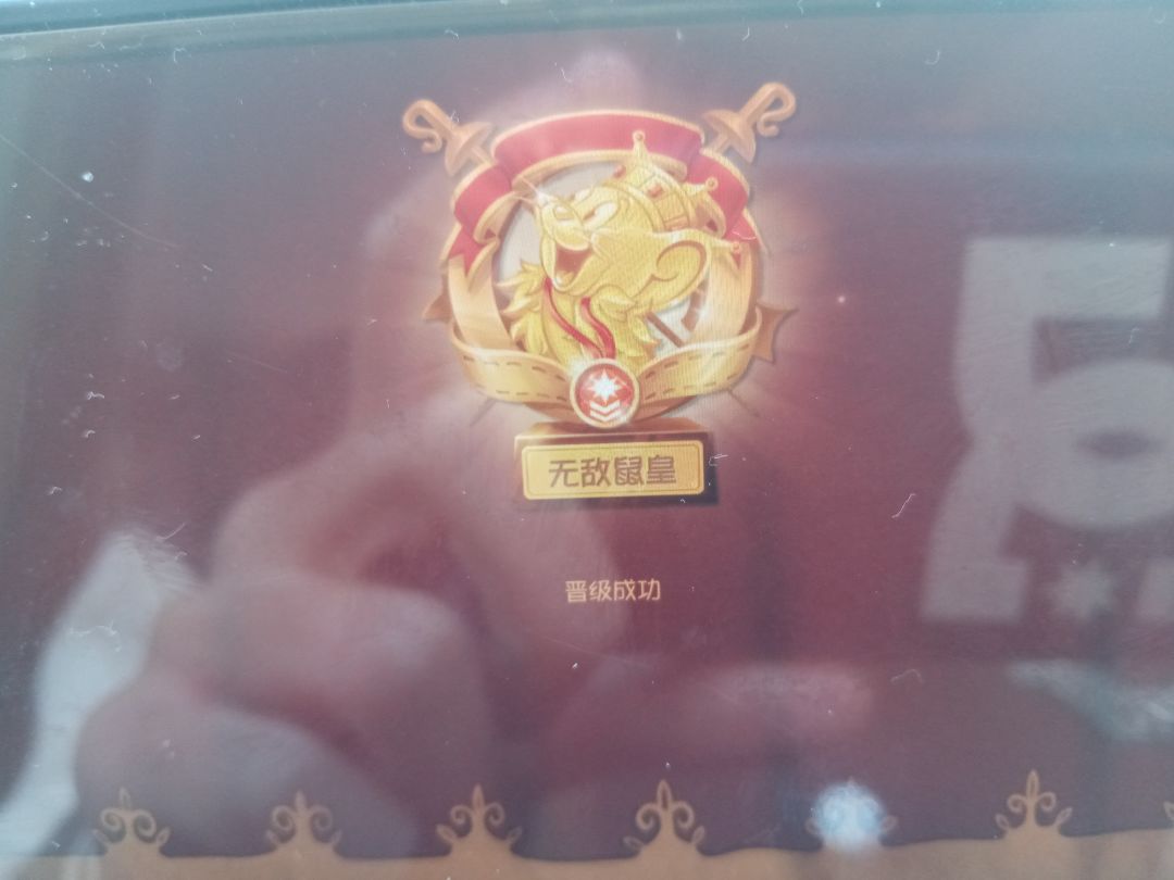 也是躺好了 1