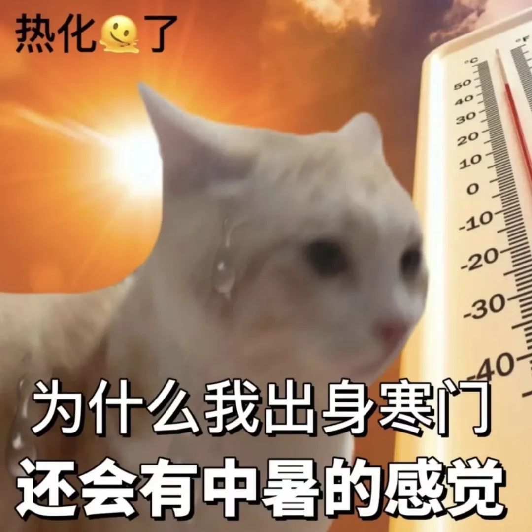是继续抽孟章武器还是抽孟章的意志? 1