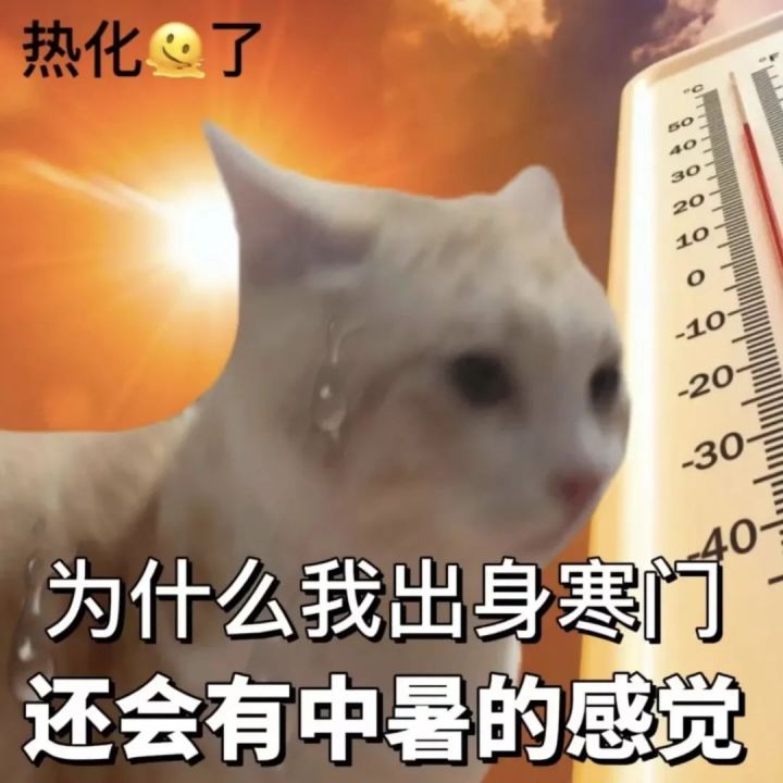 是继续抽孟章武器还是抽孟章的意志?截图