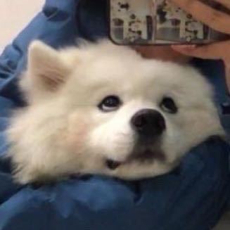 蹲个不看pvp的协会截图