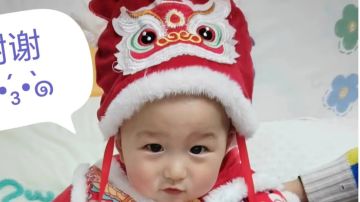 可以结婚生子的《王国传承》萌新蜕变记