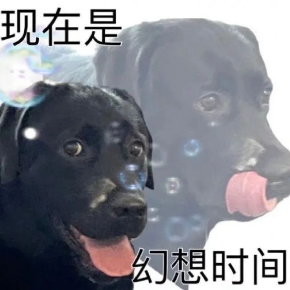 开始幻想拿世冠了 1