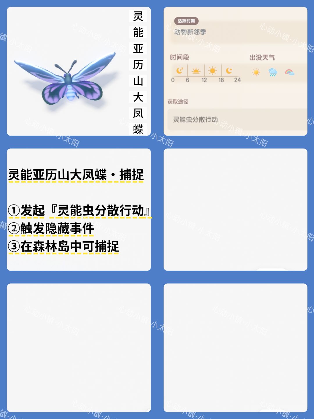 心动小镇·动物新邻季·潮流鸟类和虫类位置 5