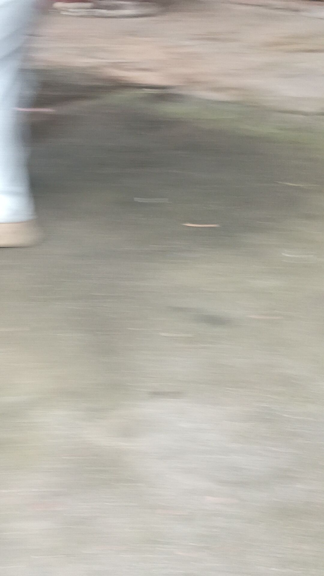 动态图片 4
