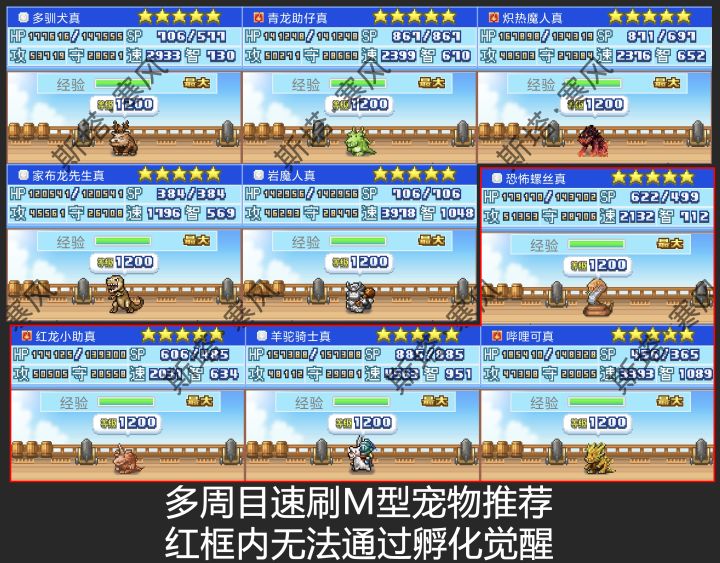 轮回m宠推荐截图