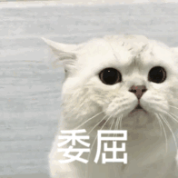 动态图片 4