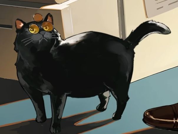 洞明和猫的眼镜一样欸 3