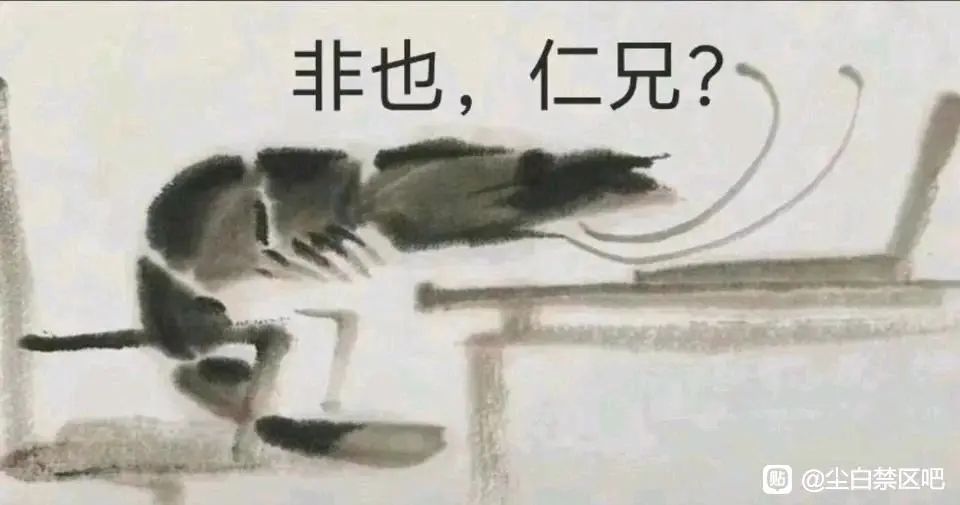 不是,哥们 3