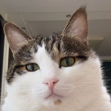 基于目前内容的玩法建议贴