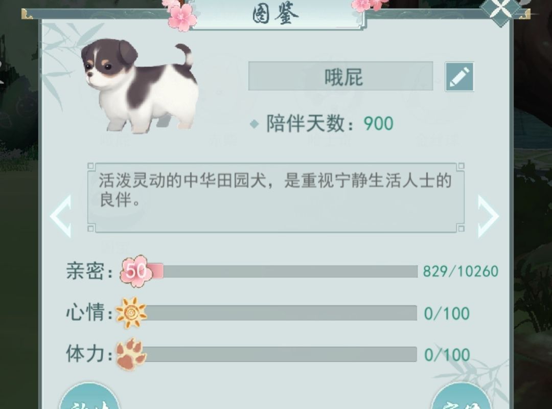一剑青云意,一壶酒中仙。 2