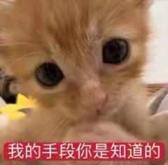 谁要跟我玩超自然,我玩莉莉 1