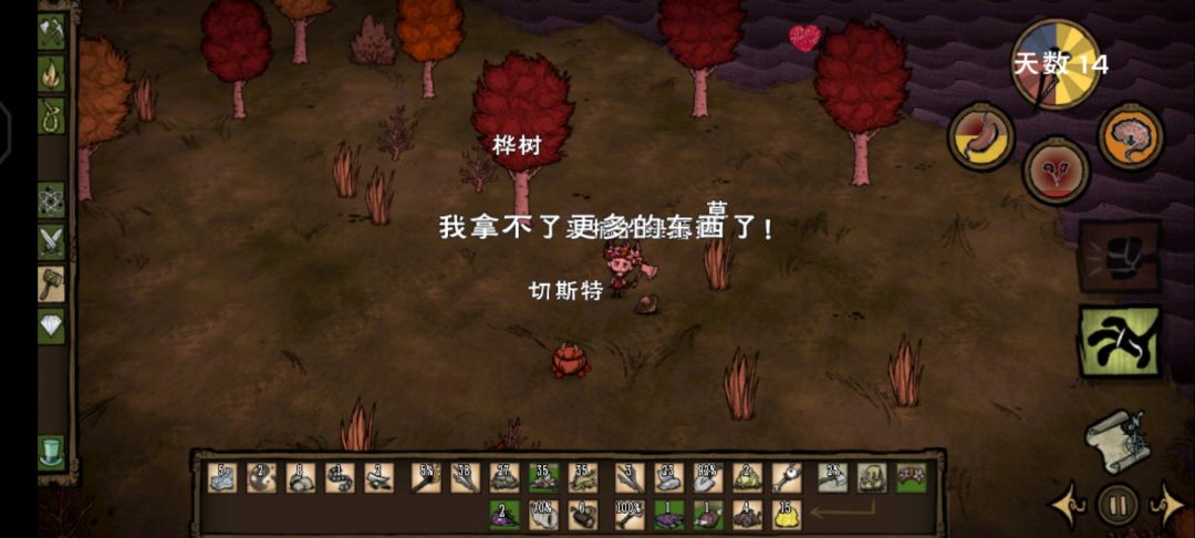 动态图片 3