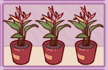 花架新奖励 1