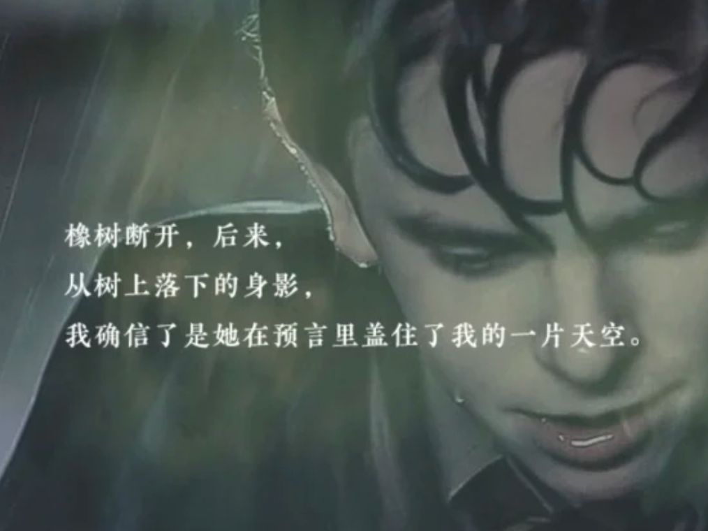 布线:淡漠而阴郁的非典型拜伦式反英雄 3