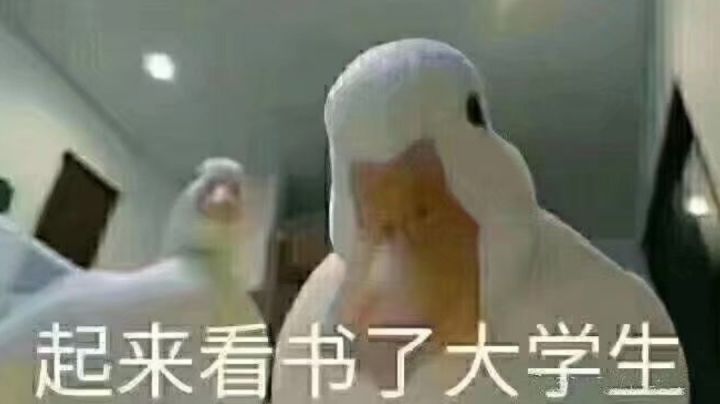 省级宴会帮算(1.09版)(先不接了)截图