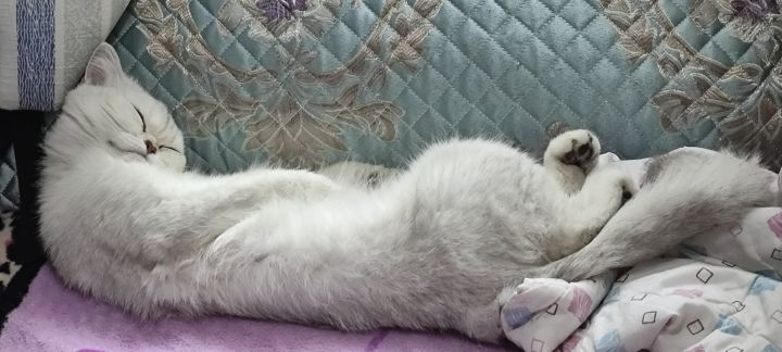 恶心人截图