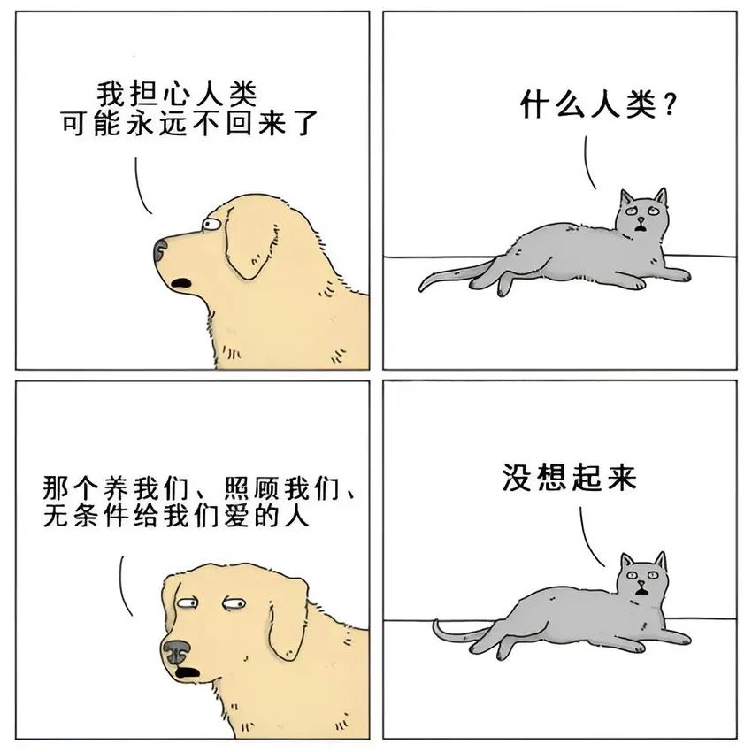 今日份梗图分享 2