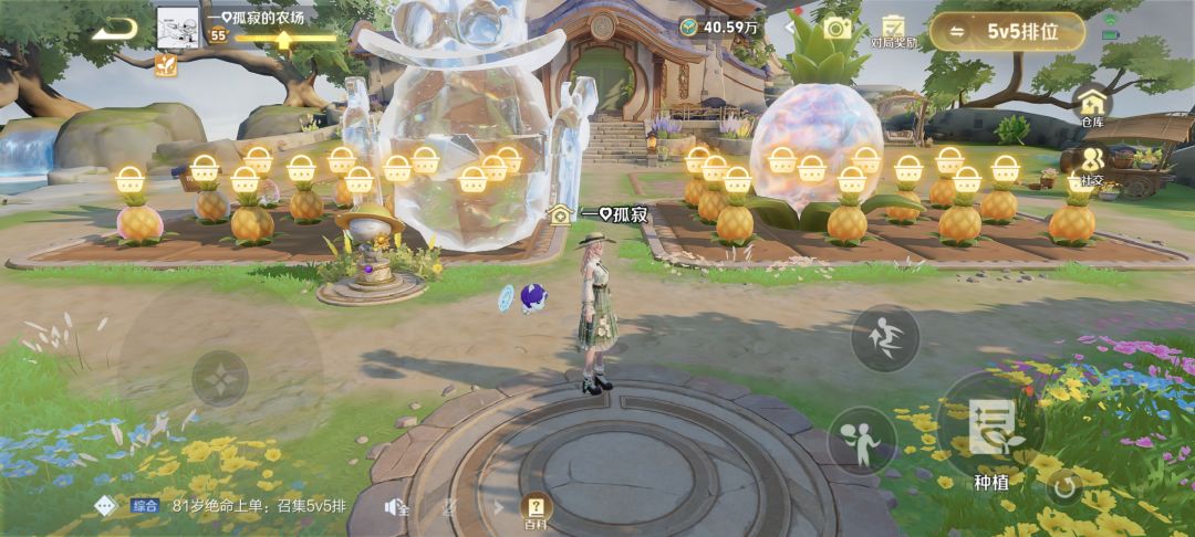 55级了都才第一次种到560倍 2