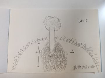 【你画我猜】之后土篇