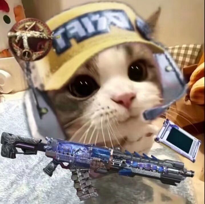 CODM启动!!!! 3