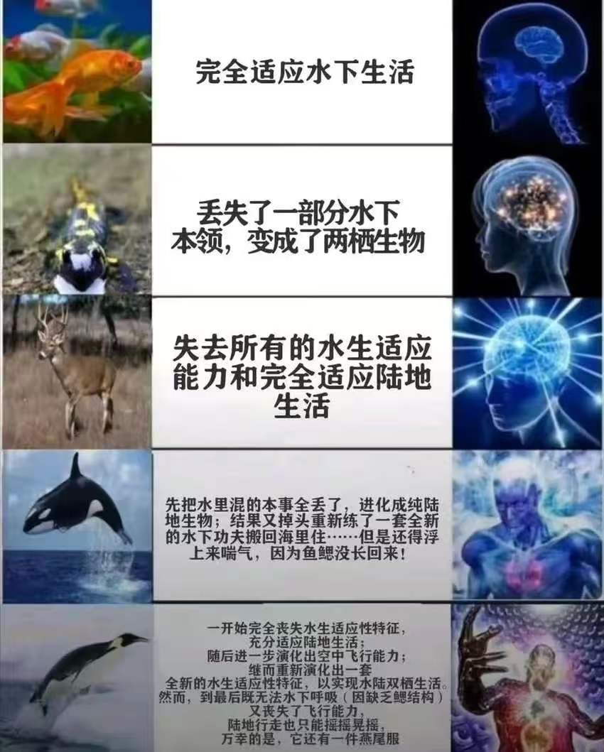 求回归大佬帮助 1